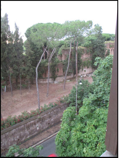 Photo was taken from a window on the fourth floor, showing a park across the street with tall umbrella-shaped trees in front of a two-story wall that curves away from us and then straightens out again.